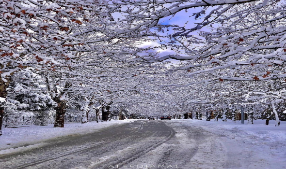  العرب اليوم - اليابان تُحذر من اضطرابات مرورية بسبب التساقط الكثيف للثلوج فى المناطق المتضررة من الزلزال