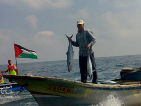 الاعتداءات الإسرائيليَّة على الصيادين تتزايد في غزة