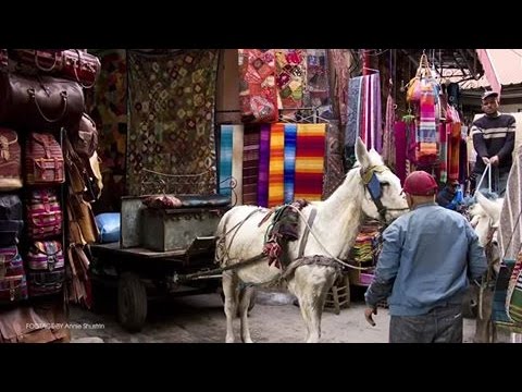 بالفيديو تعرف على ما قاله الأجانب عن السياحة في المملكة المغربية