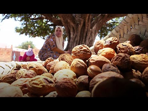 شاهد أسرار صناعة مواد التجميل المغربية