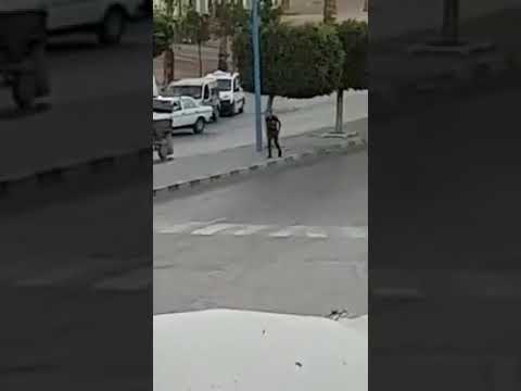 لص يسرق سائقًا من داخل سيارته بطريقة صادمة