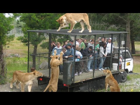 أغرب حدائق حيوان في العالم غير عادية