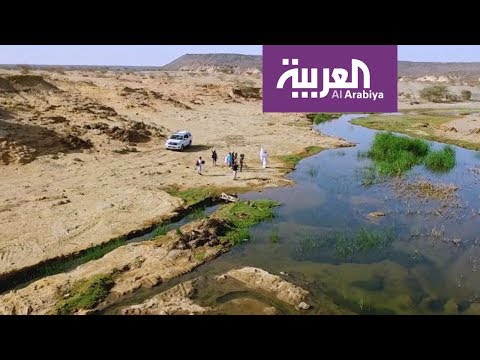 شاهد أسماك في طريقها إلى الهجرة