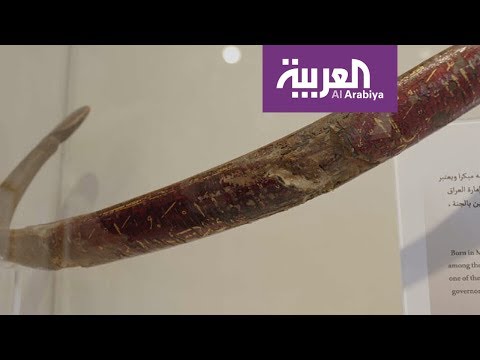 شاهد قوس الصحابي الذي بقي منذ أيام الرسول حتى الآن