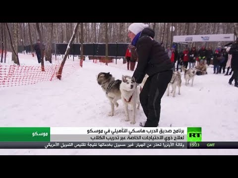 شاهد كلاب الهاسكي لمساعدة ذوي الحاجات الخاصة