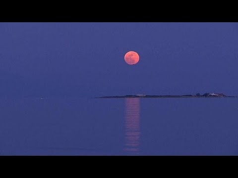 شاهد القمر الأزرق الدموي في مشاهد نادرة خلابة أبهرت العالم