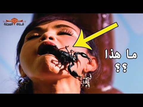 10 معلومات غريبة ستدهشك عن العقارب