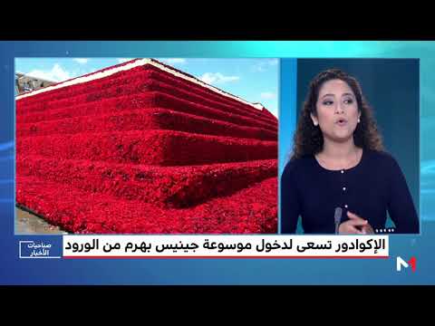 الإكوادور تسعى إلى دخول موسوعة غينيس بهرم من الورود