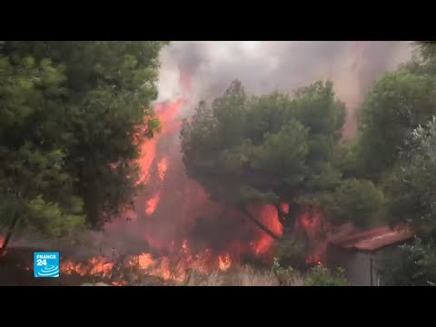 شاهد صور من حرائق اليونان