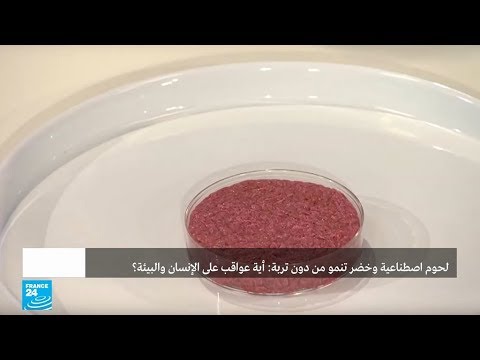 شاهد لحوم اصطناعية وخضر تنمو من دون تربة