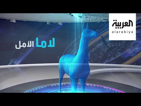 شاهد دمُ اللاما علاج محتمل لفيروس كورونا