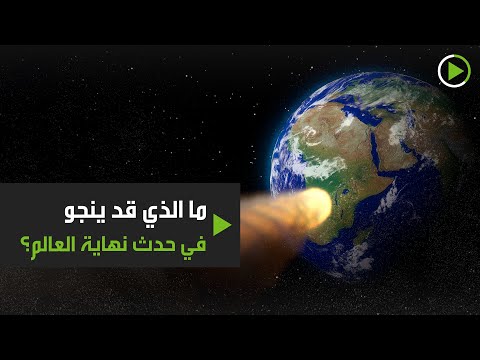 شاهد الكشف عن الحيوانات التي قد تنجو في حدث نهاية العالم