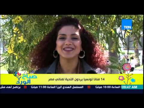 شاهد 14 فنانًا تونسيًا يردون التحية لفناني مصر