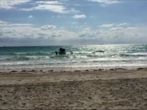 cuban migrants arrive on miami shore