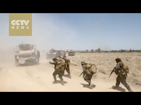 iraqi forces take position around fallujah