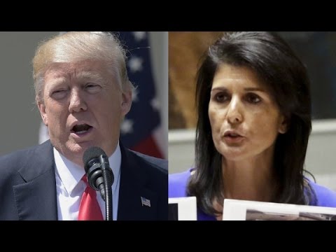 haley on whether trump will