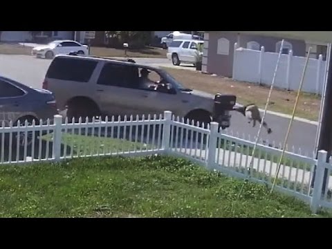 teen launched off bike