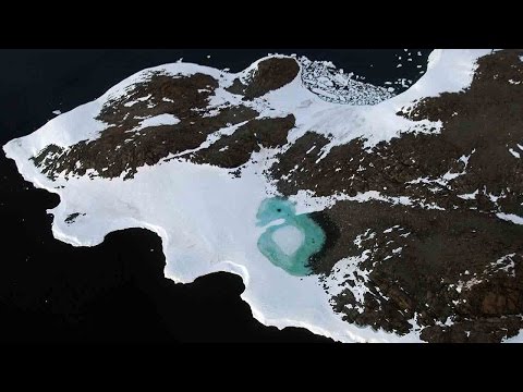 turning antarctica green but why