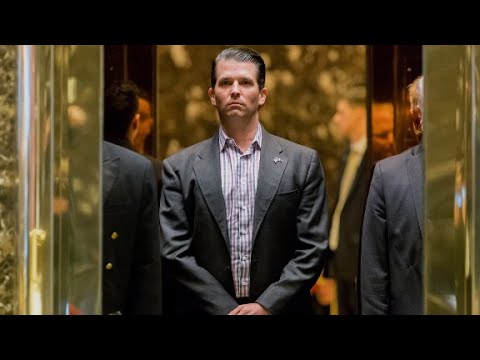 behind the trump jr meeting