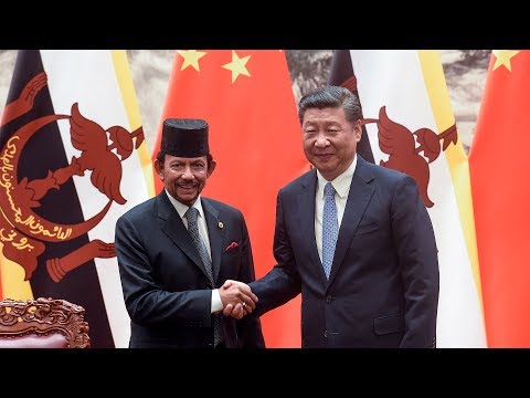 chinese president xi jinping meets brunei head of state sultan