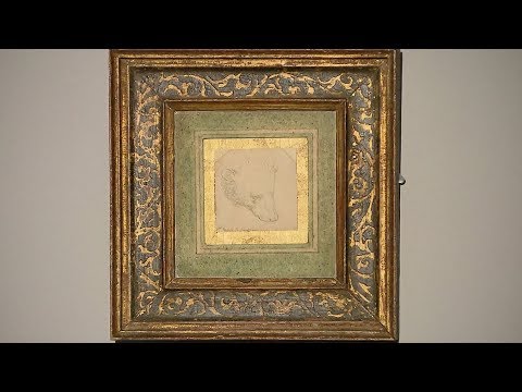 leonardo da vinci’s ‘study of a bear’s head’