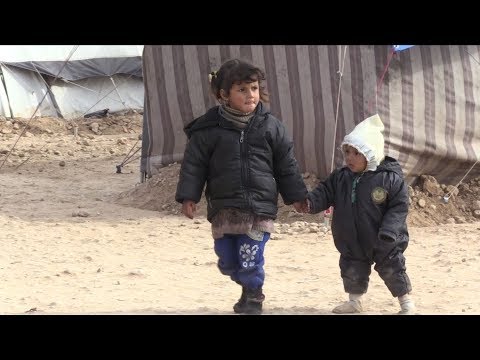 displaced syrians survive war