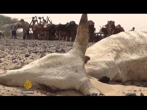 mali nomads at risk of starvation