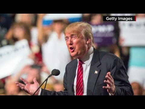 veterans group weighs in on donald trumps record