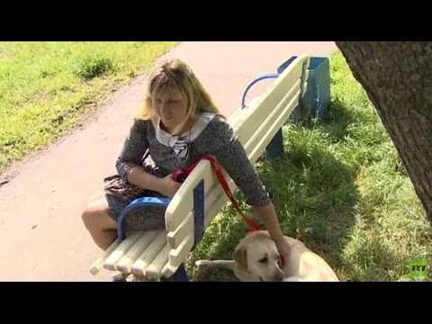 stolen guide dog returned to blind girl after web outcry