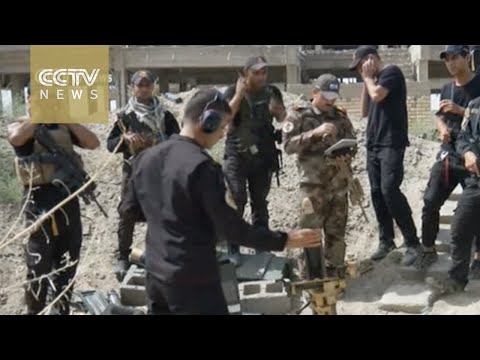 isil losing ground in iraq