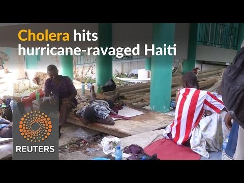 cholera spreads in stormdevastated haiti