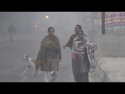 india tops global ozone pollution deaths