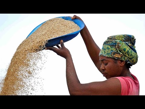 nigerian woman designs clean energy stove