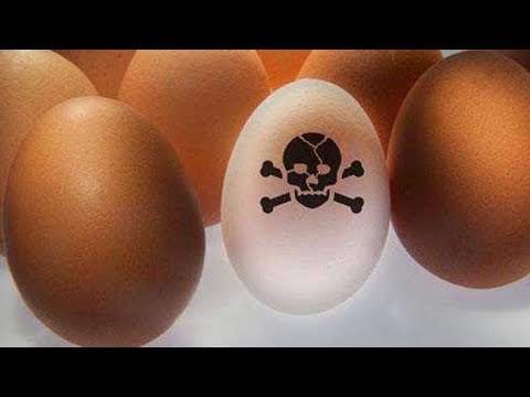 egg crisis in europe