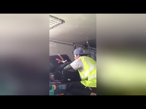 baggage handler caught stealing from luggage