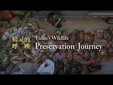 a womans antipoaching journey