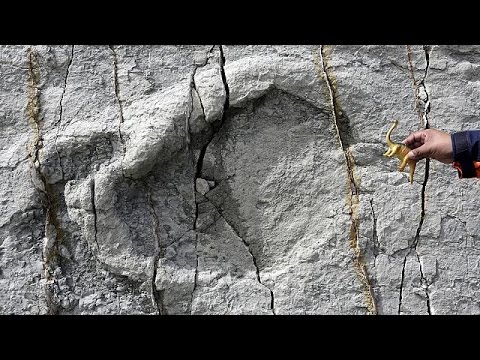 bolivia walking in the footsteps of dinosaurs