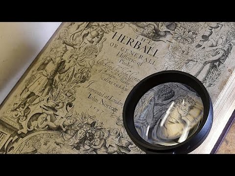 botanist discovers portrait of shakespeare