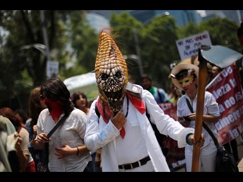 world rallies to protest gmo in 38 countries 428 cities