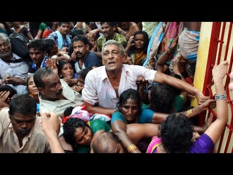 dozens killed by stampede at religious festival