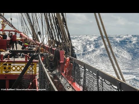 hermione returns from historic voyage