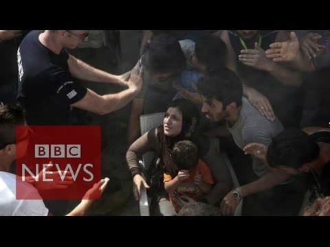 violent scenes in kos as migrants and police clash