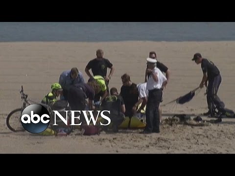 parachutists hospitalised after mishap at chicago airshow