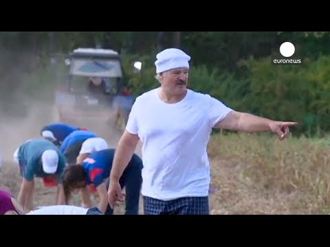 belarus president harvests potatoes in backyard