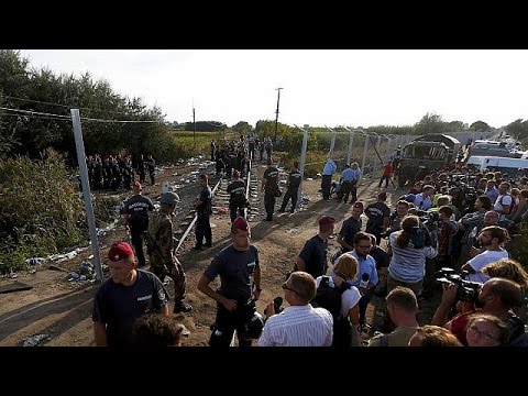 hungary seals off fence along border with serbia