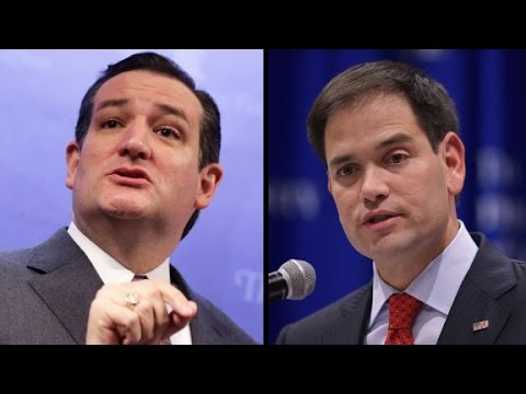 rubio cruz seek postdebate bounce